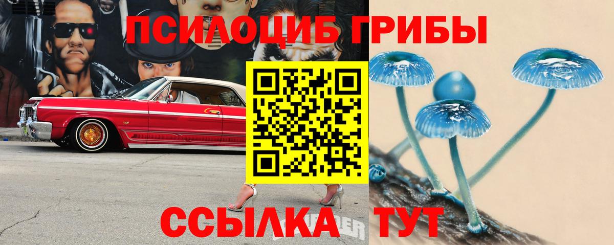 Борисоглебск  наркотики  Вход с VPN  Галлюциногенные грибы прущие грибы 